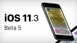 Apple выпустила iOS 11.3 beta 5 для всех желающих