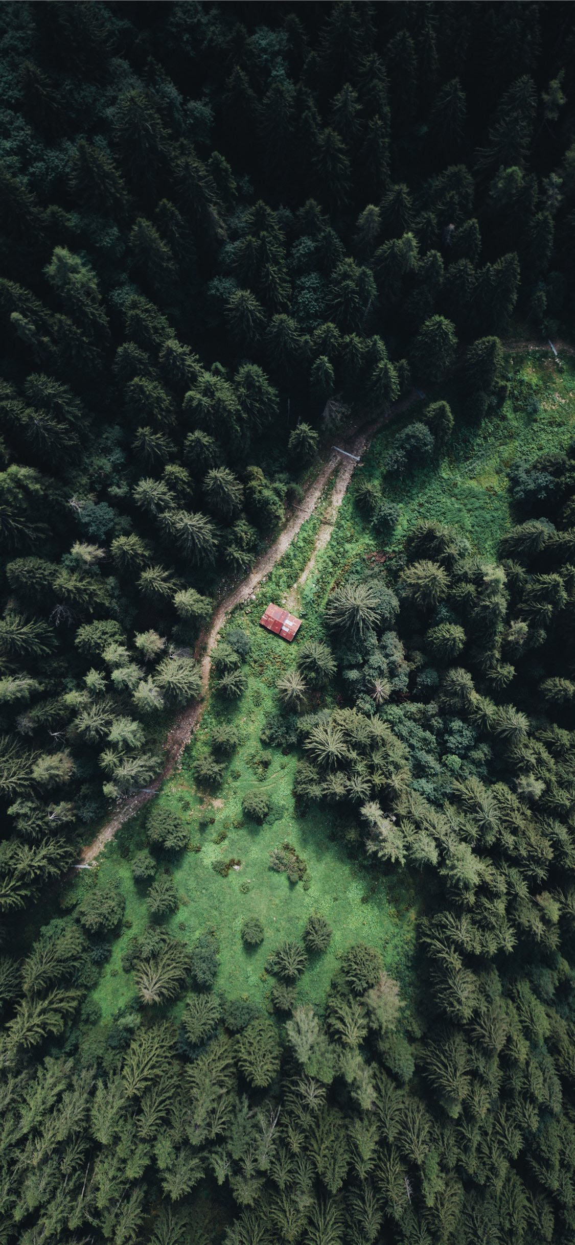 12-BF9153-C799-4050-8-D56-969-CDB2-B495-F 