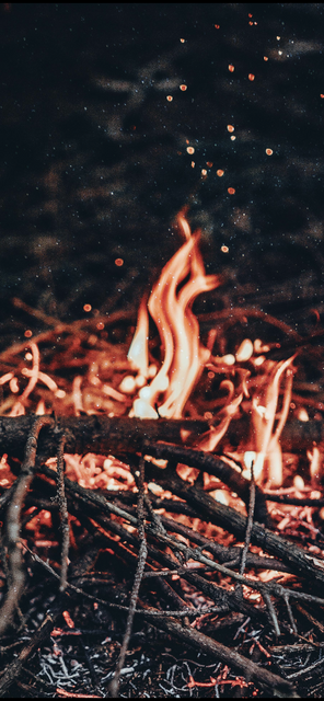 E85-FEFCA-4-F0-C-4-DE2-8609-6-BCD4533-D547 