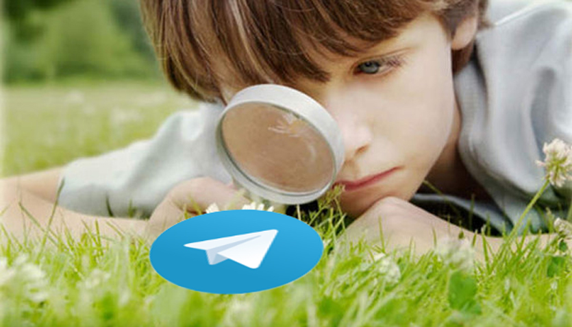 Как узнать, что о вас известно Telegram. Прямо сейчас