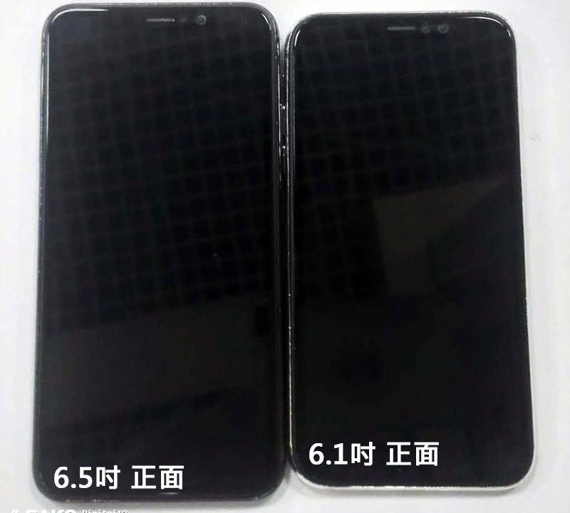 6,1-дюймовый и 6,5-дюймовый iPhone показали на фото