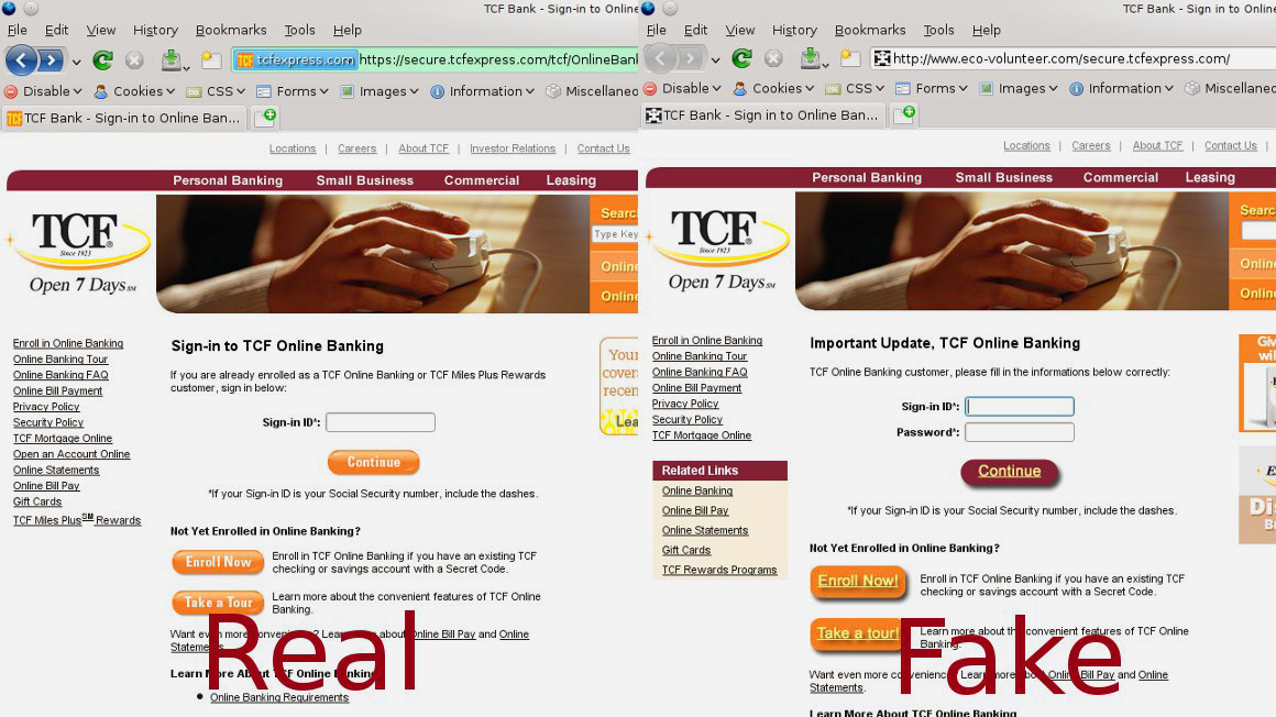 real_fake_TCF-1.jpg
