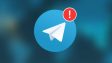 Telegram могут тотально заблокировать в России из-за теракта в Архангельске