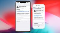 Вышла iOS 12.1.1 beta 2 для разработчиков и всех желающих