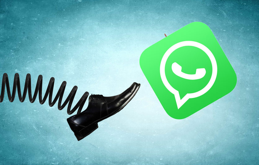 WhatsApp тайно пожирает гигабайты на iPhone. Как исправить