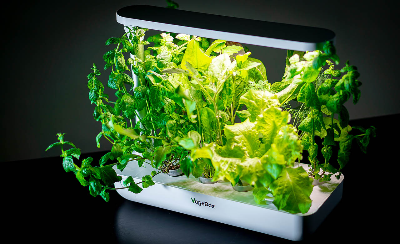 17 крутых подарков девушке или жене на 8 Марта - Лайфхакер