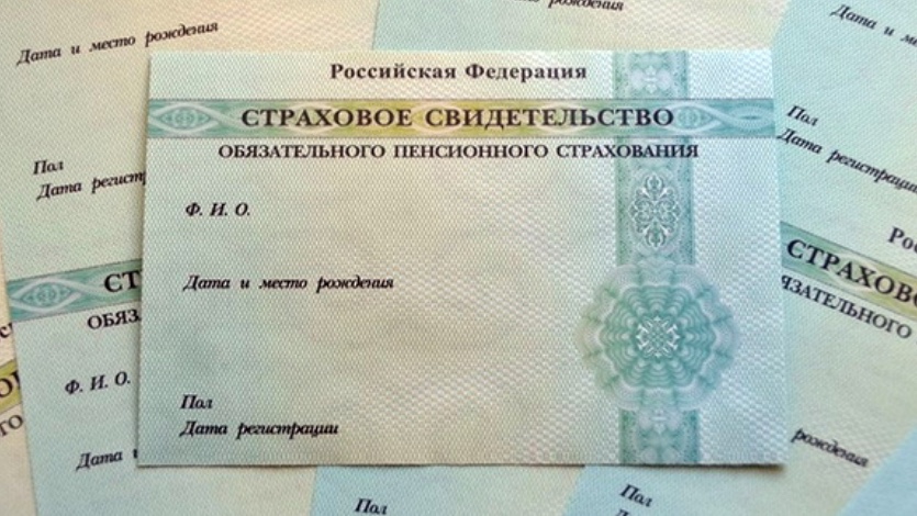 В России отменили бумажные СНИЛС