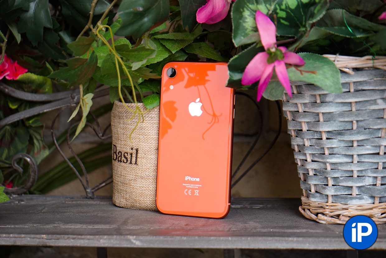 Pochemu Nuzhno Brat Tolko Krasnyj Iphone Xr