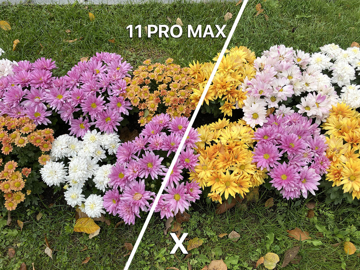 Фотобитва iPhone 11 Pro Max и iPhone X. Пять фотографий