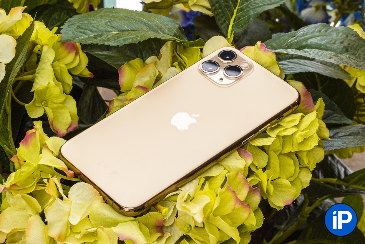 Gold apple pro