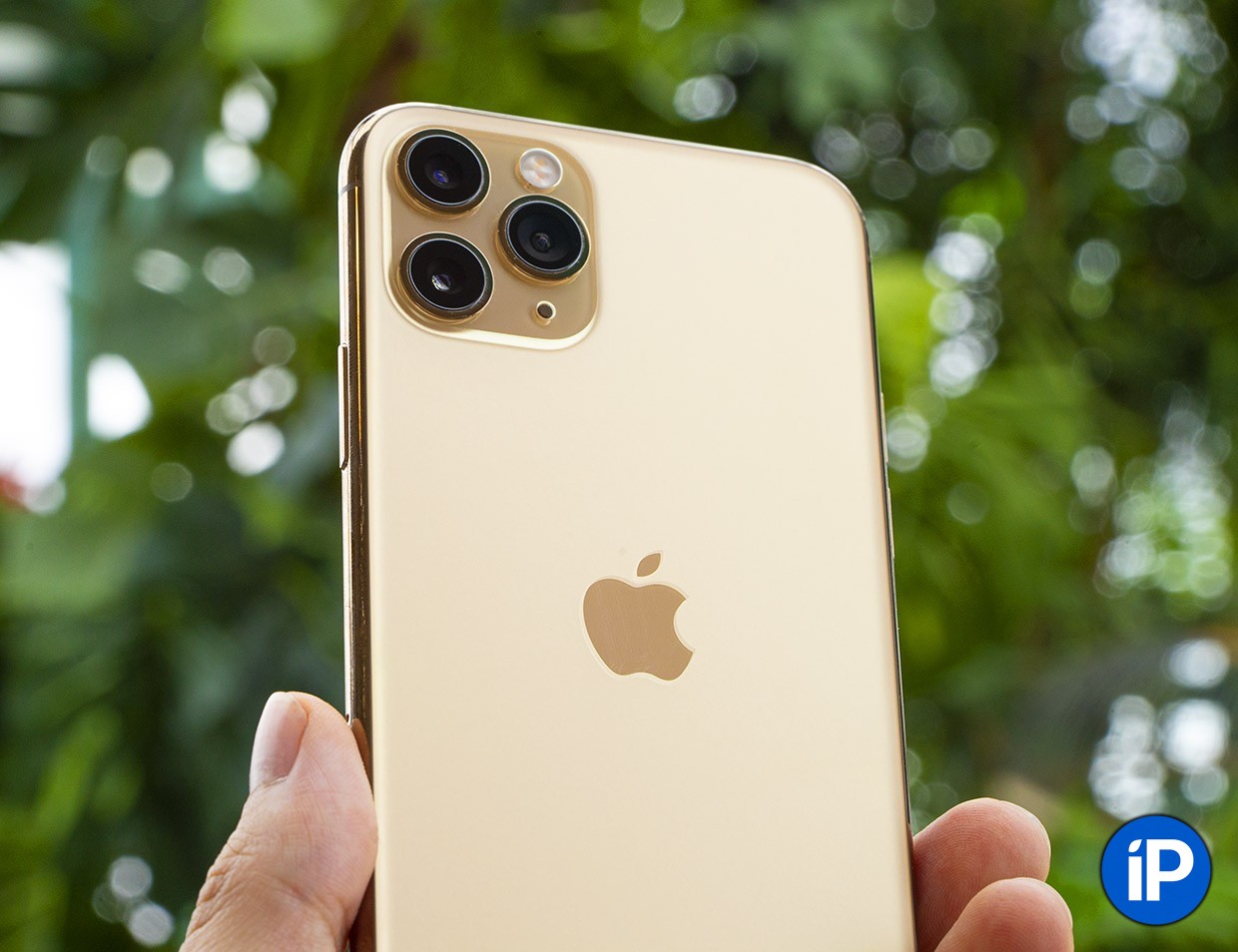 Iphone 11 Pro Зеленый Красивое Фото