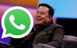 Илон Маск потроллил WhatsApp, и Дурову это понравилось