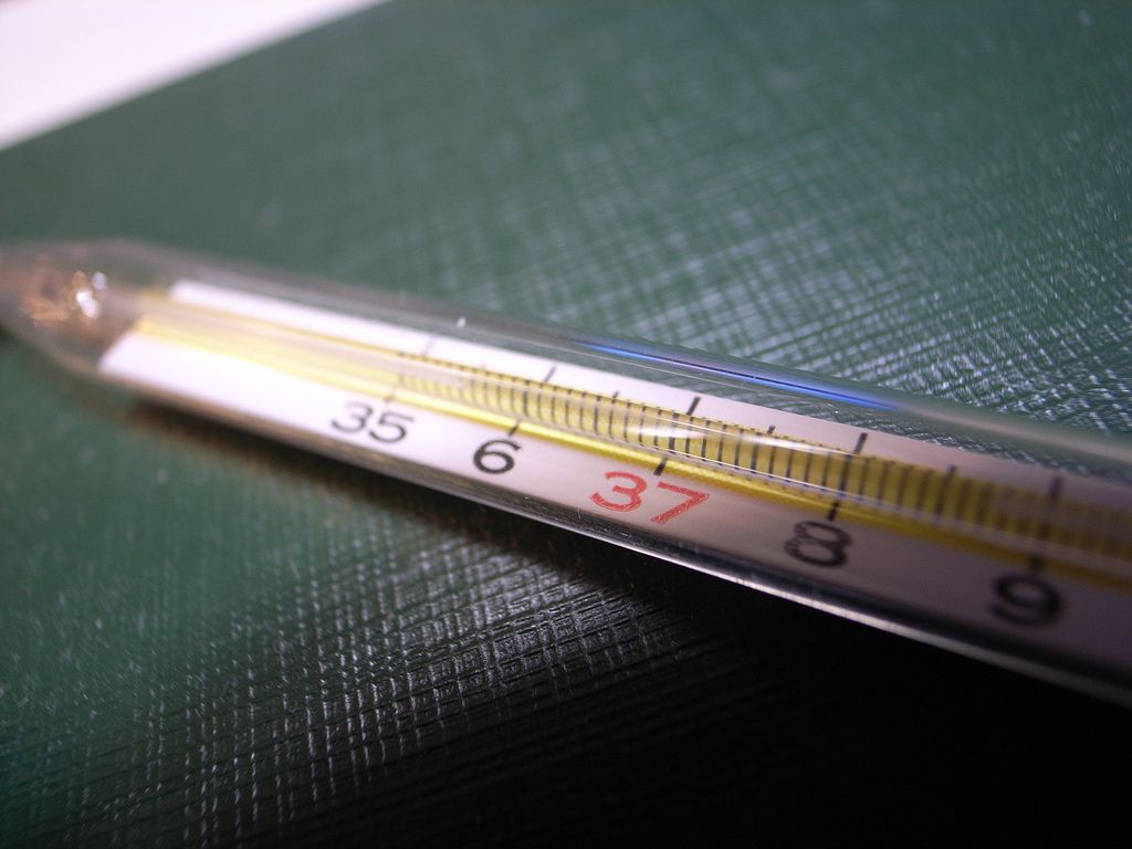Как называются термометры для измерения температуры тела?