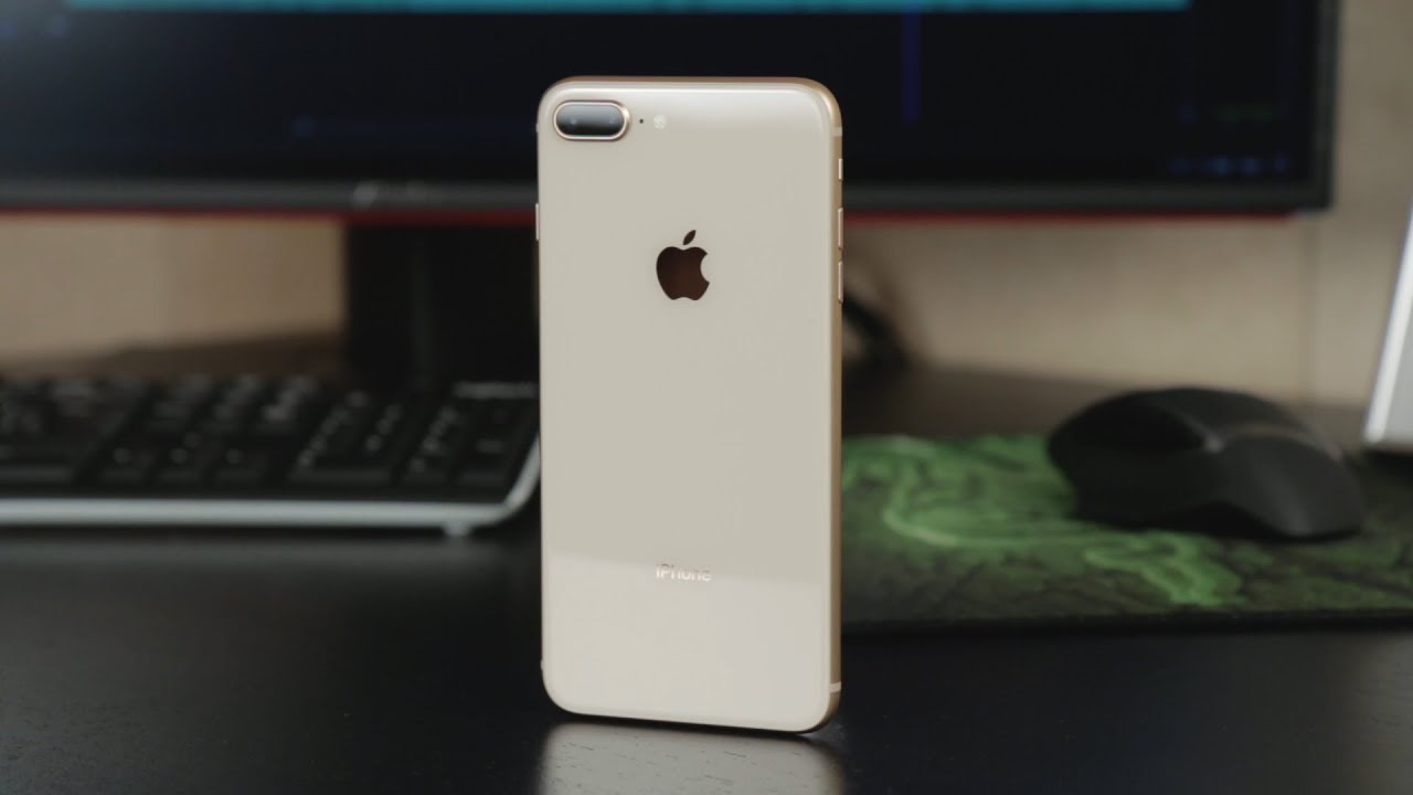 iOS 14 подтвердила, что выйдет iPhone 9 Plus (SE 2)