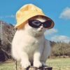VadimKV avatar