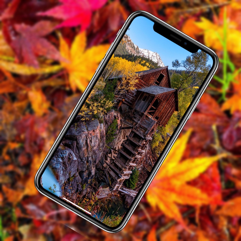 Pin by Syeda Nayab Zahra on Vibrant Autumn Free iphone wallpaper, Iphone wallpap