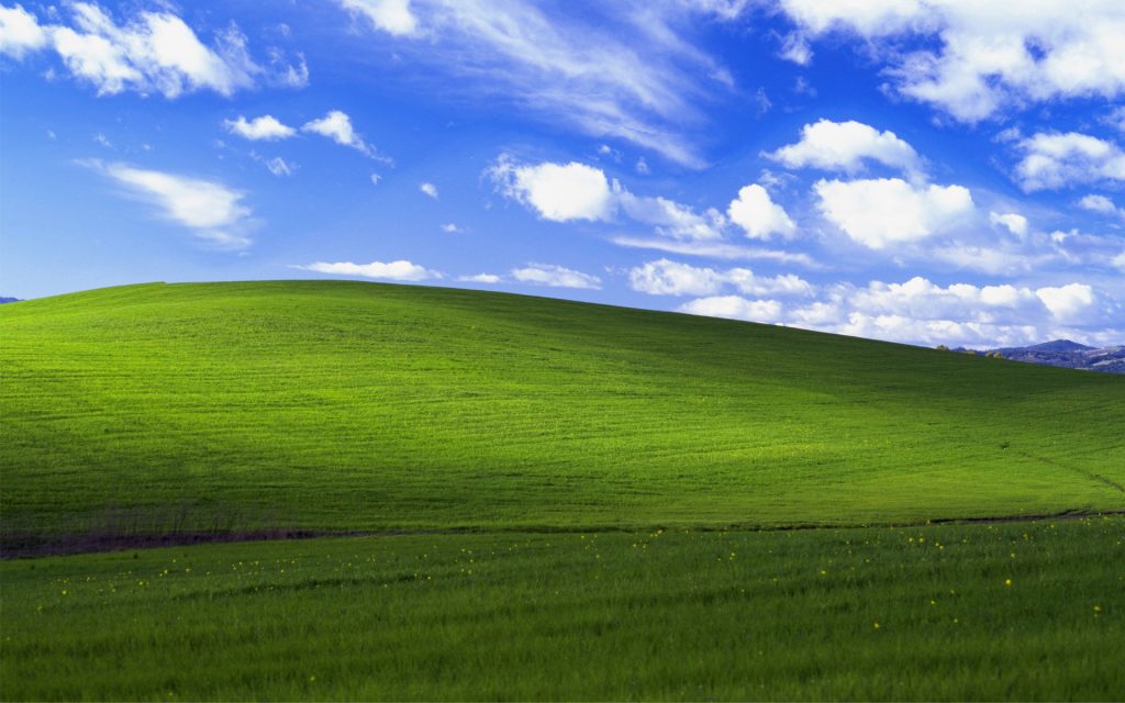 В сеть впервые слили исходный код Windows XP