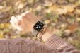 Обзор Apple Watch SE. Лучшие умные часы в 2020 году, недорого