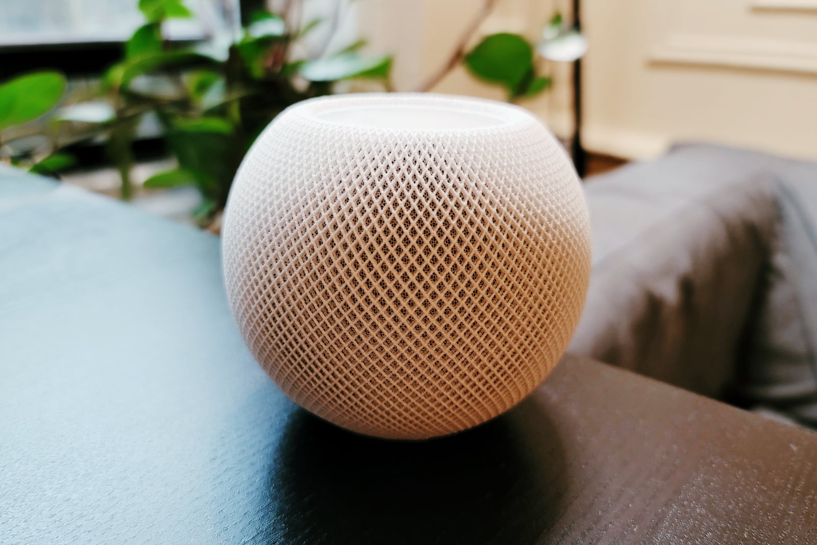 На Авито уже продают HomePod mini. За 25 тысяч!