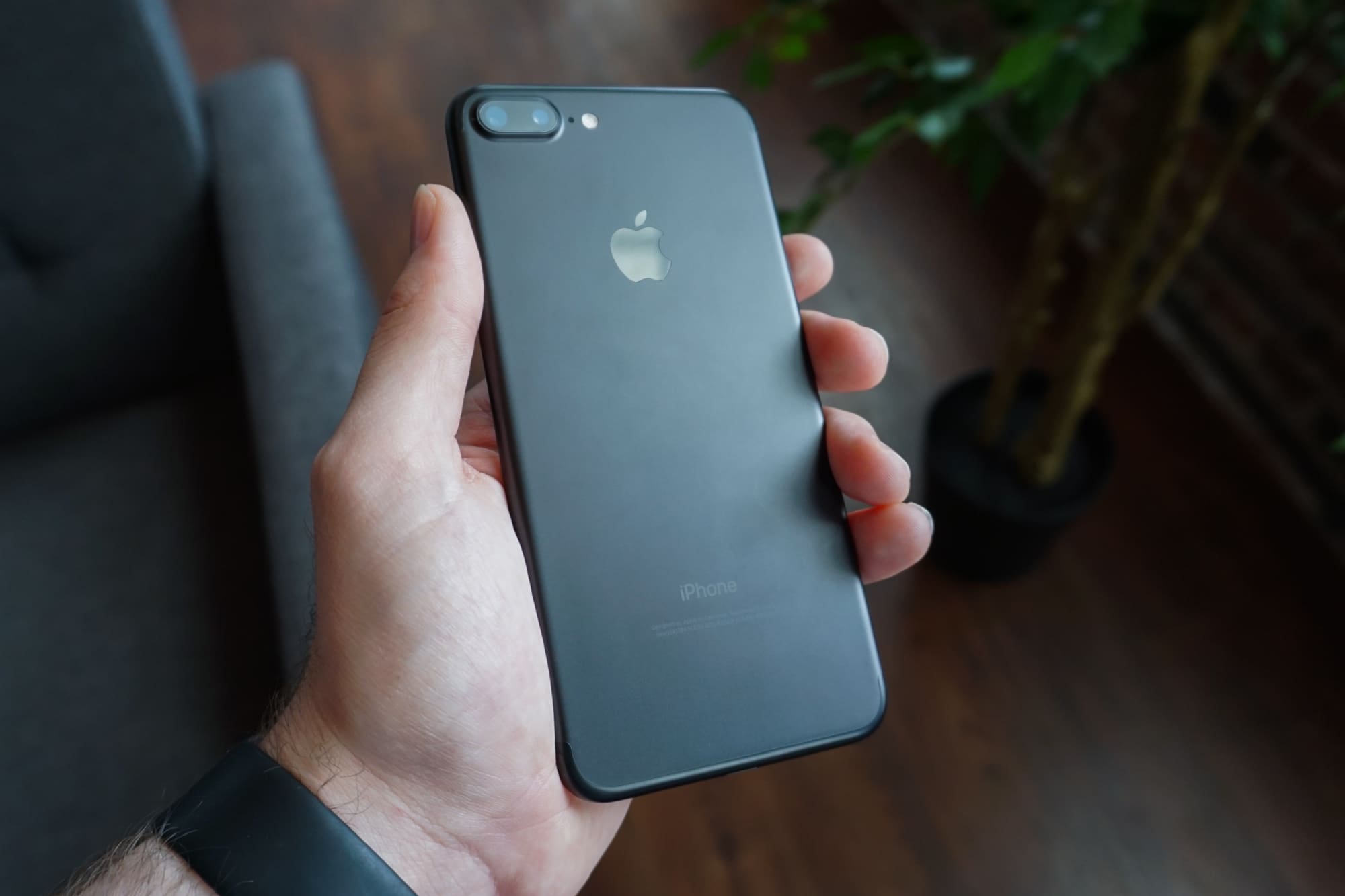 Фото На Айфон 7 Plus Фото На Айфон 7 Plus
