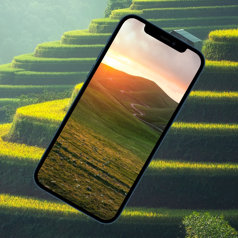10 ярких обоев iPhone с природой: горы, равнины и леса