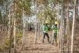 Apple потратит 200 миллионов долларов на восстановление лесов для борьбы с изменением климата