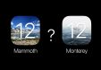 macOS 12 могут назвать Мамонт