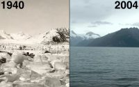 До и после. 20 холодящих фото NASA показали, как ухудшается состояние природы Земли