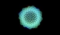 ������������ watchOS 8