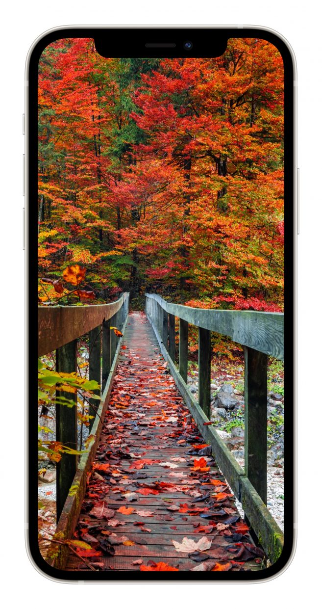 Happiness and Nostalgia Year Round Autumn photography, Photo backgrounds, Autumn