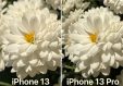 Сравниваем камеру iPhone 13 против iPhone 13 Pro. Разница есть, нашли без лупы