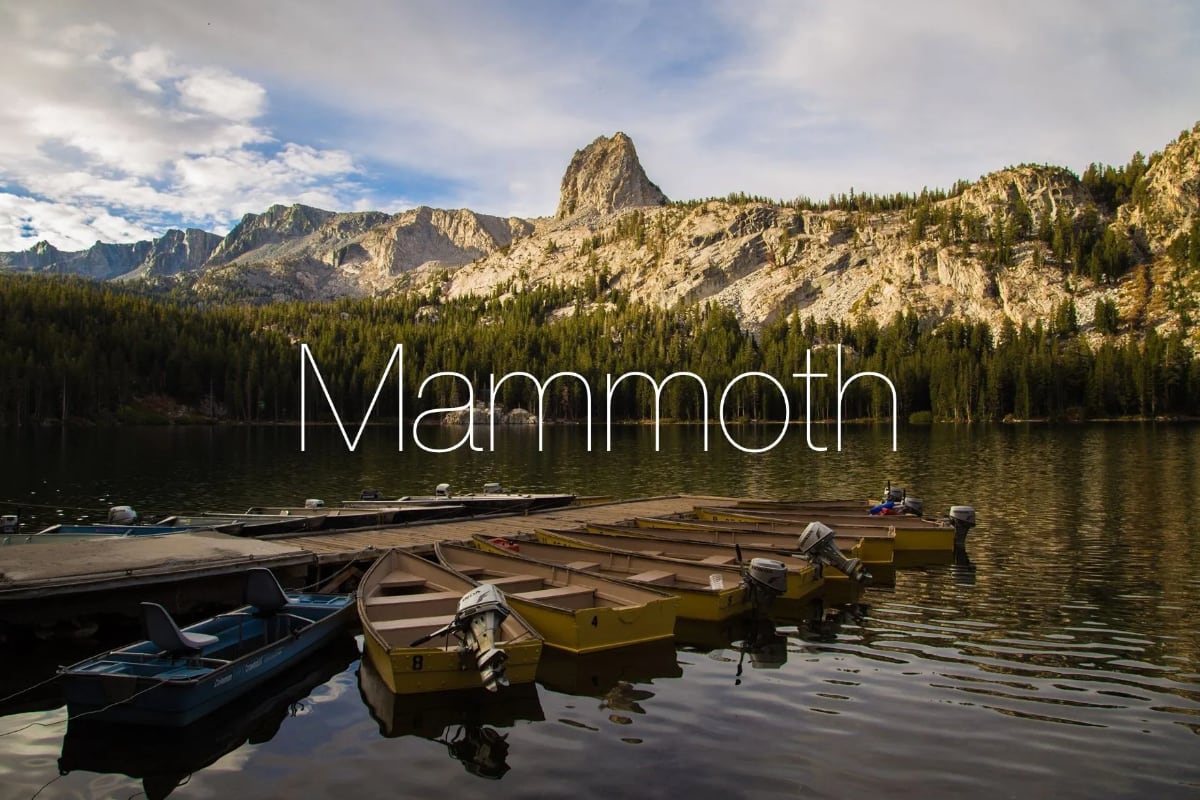 Следующая версия macOS может называться Mammoth