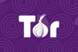 Роскомнадзор заблокировал сайт Tor в России