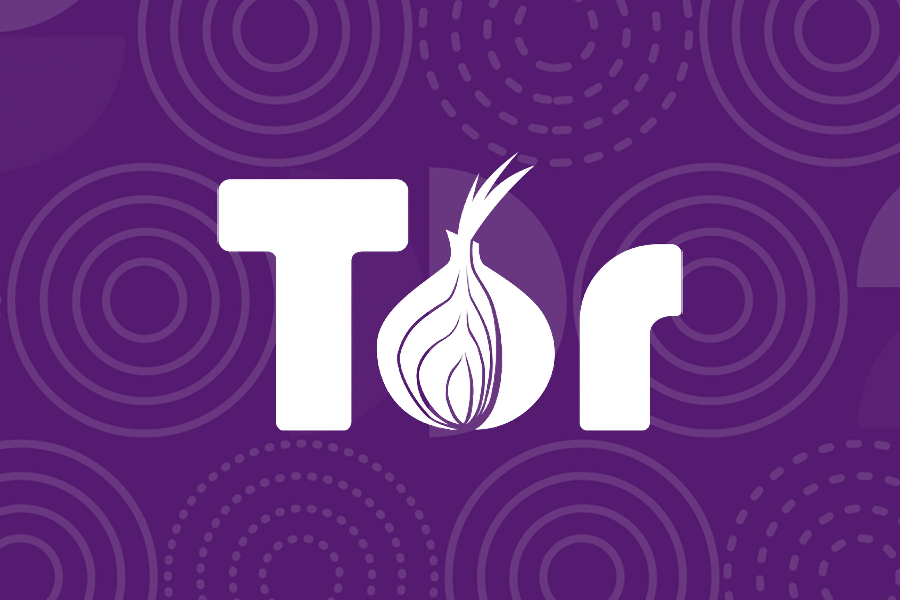 Роскомнадзор заблокировал сайт Tor в России