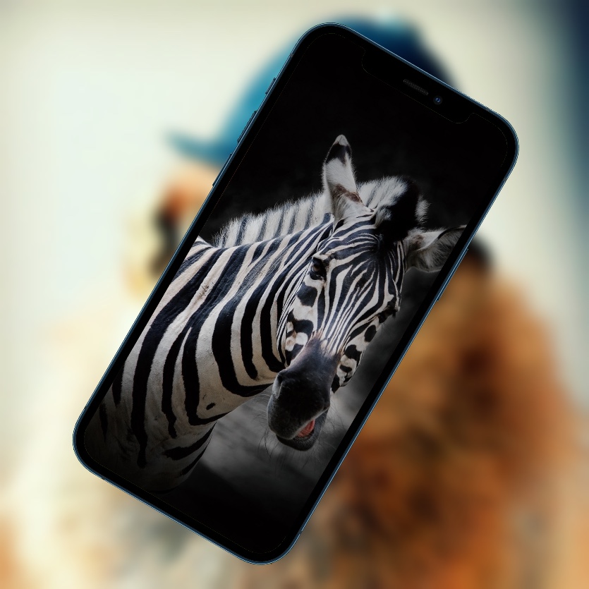 10 эффектных обоев iPhone с животными