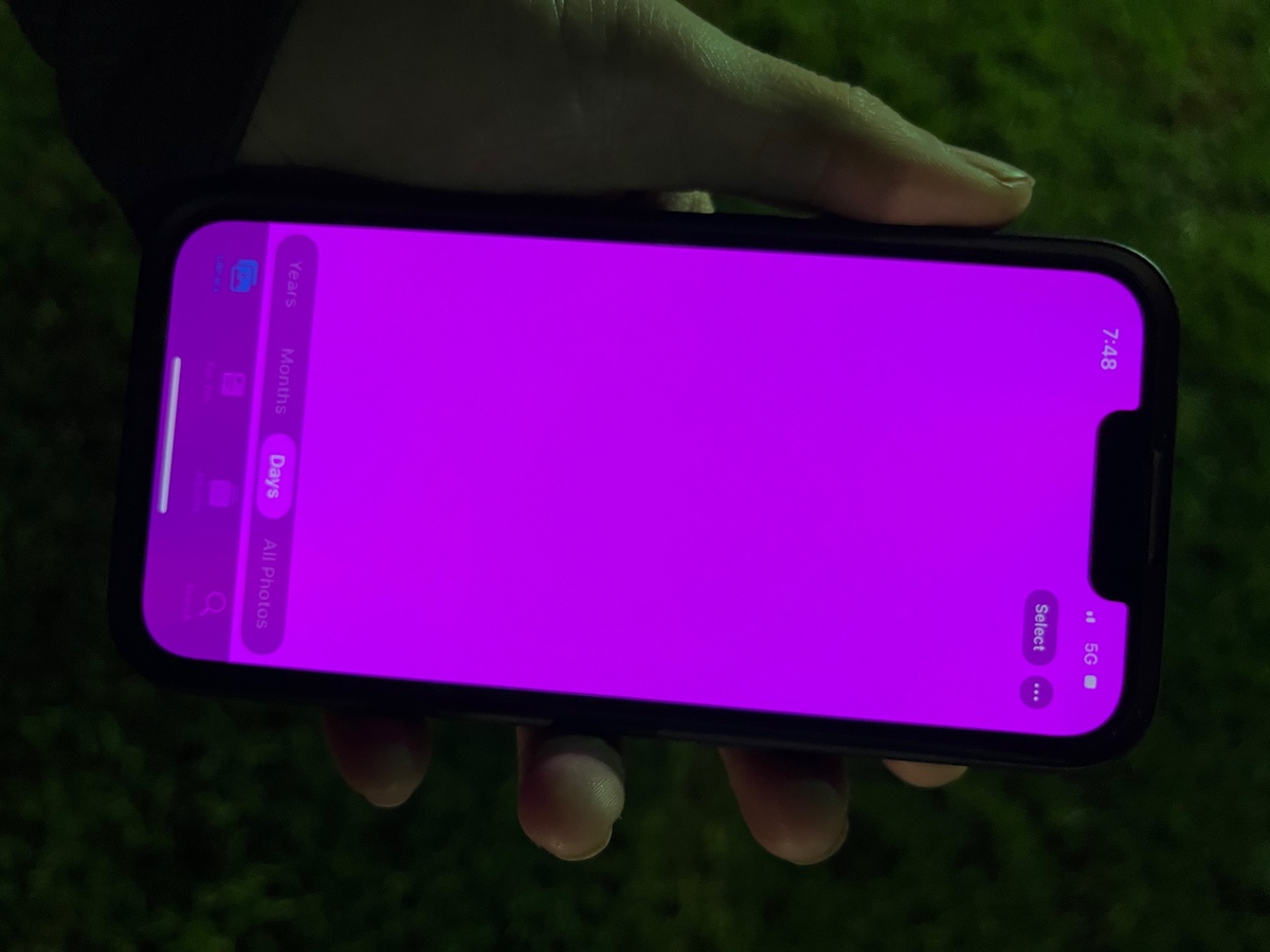 В iPhone 13 найден странный баг с розовым экраном. Apple пообещала всё исправить