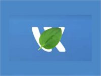 ВКонтакте перестал работать. Не открываются лента и сообщения