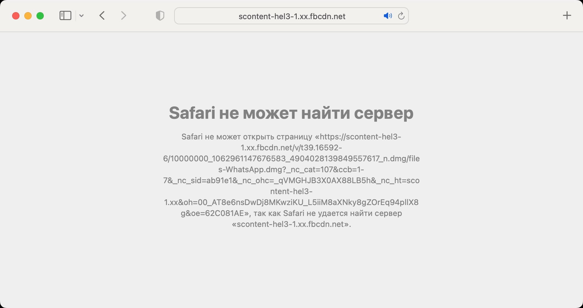 Пользователи WhatsApp в России не могут скачать мессенджер на ПК и Mac