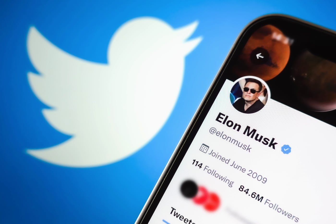 Илон Маск готов обанкротить Twitter, если сервис не начнёт приносить ему деньги