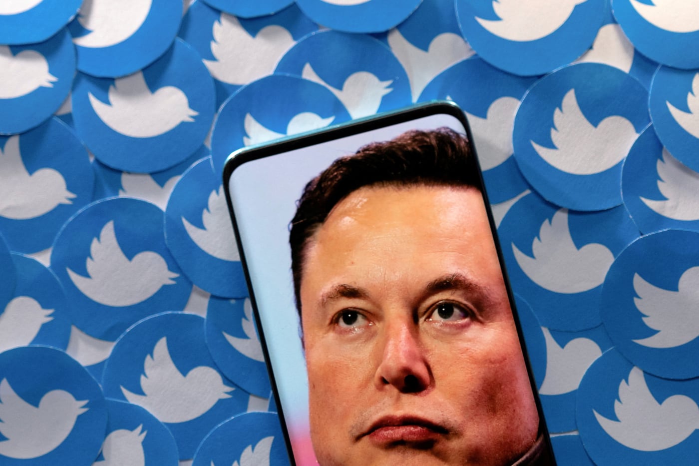 Илон Маск хочет уволить каждого четвертого сотрудника Twitter и возродить Vine