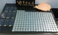 Беременная китаянка спрятала в животе 200 процессоров Intel и 9 айфонов, чтобы не платить на таможне. Не прокатило