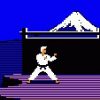 Karateka avatar