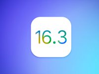 iOS 16.3 выйдет 3 февраля