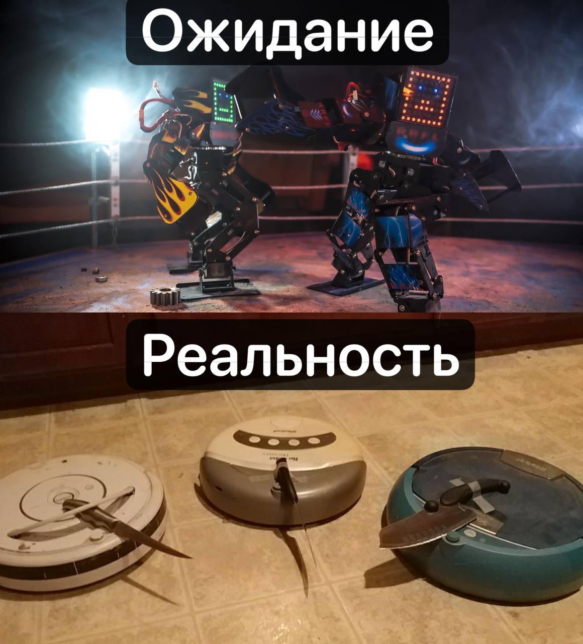 В России проведут Международный чемпионат по битве роботов. Он станет ежегодным