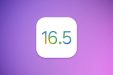 iOS 16.5 может выйти на этой неделе