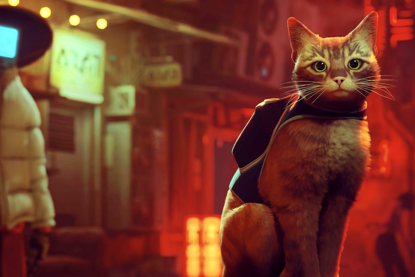 Популярная игра про кота Stray выйдет на Mac