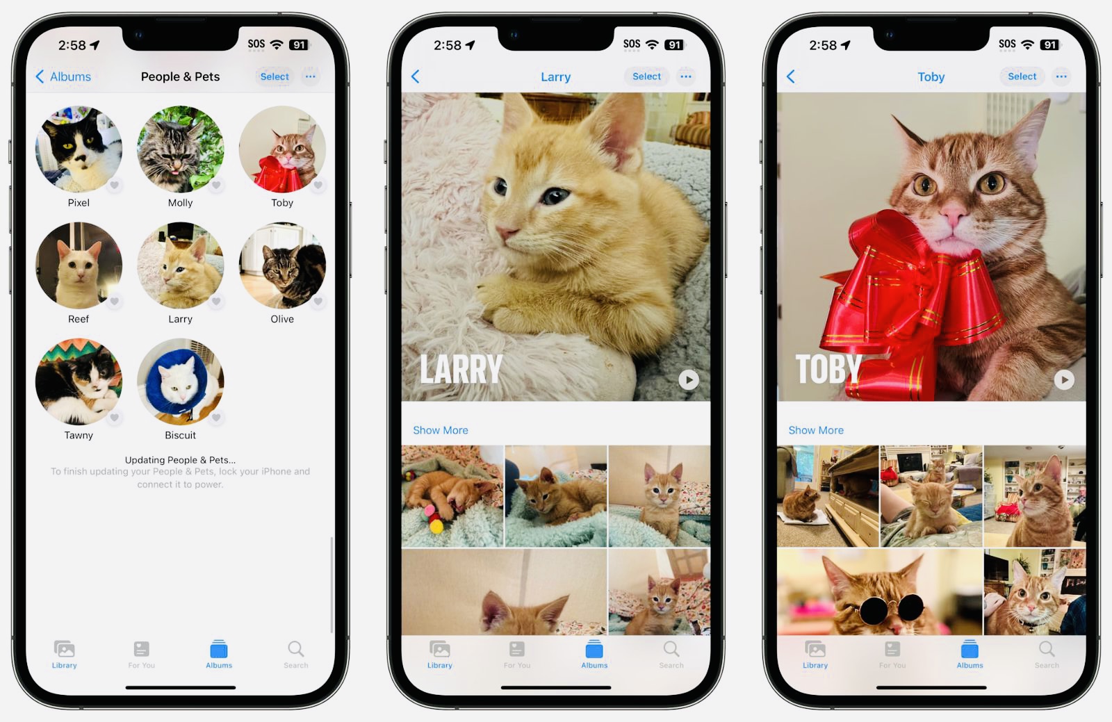 Приложение Фото в iOS 17 научилось распознавать домашних животных и отличать их друг от друга