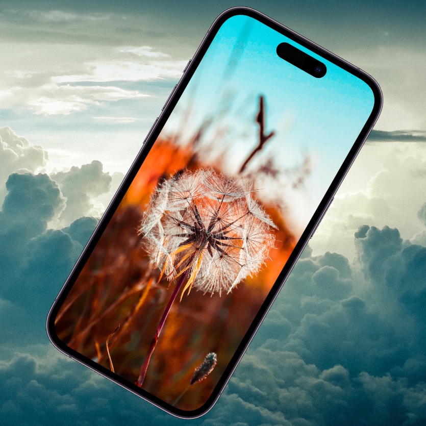 10 летних обоев для iPhone