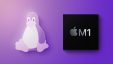 Вышло обновление Asahi Linux с поддержкой OpenGL ES 3.1 для Mac с чипами M1 и M2. Игры станут работать лучше
