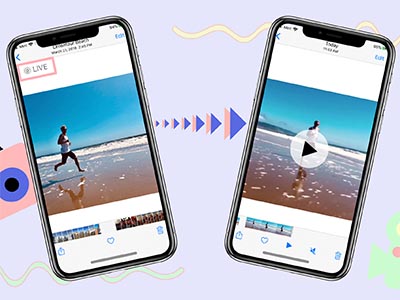 Как на iPhone превратить Live-фото в видео. Без команд и сторонних приложений